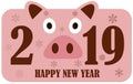 Creative postcard for New 2019 Year with cute pig