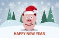 Postcard for New 2019 Year with cute pig. Symbol of the year in the Chinese calendar