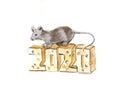 Symbol of the year, 2020, cute rat with cheese
