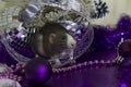 Symbol of the year. A gray mouse sits on a background of Christmas decorations and decorations of a silver-violet scale.