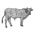 Symbol of the Year of the Ox on the eastern calendar, new year, anti-stress coloring page with animal and ornate zen patterns Royalty Free Stock Photo