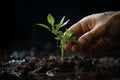 Symbolic connection hand nurturing a plant on a blank canvas