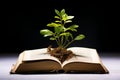 Symbolic growth A green plant thrives amidst the pages of a book Royalty Free Stock Photo