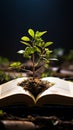 Symbolic growth A green plant thrives amidst the pages of a book