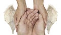 Symbolic Helping Hands with Angel Wings Royalty Free Stock Photo