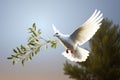 Symbolic illustration of a dove carrying an