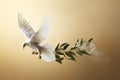 Symbolic illustration of a dove carrying an