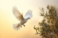 Symbolic illustration of a dove carrying an