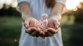 Embryo in Hands: Concept of Life, Pregnancy, and Care Royalty Free Stock Photo