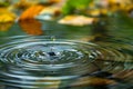 Symbolic Importance of a Water Droplet Creating Ripples in a Puddle for Individual Action and