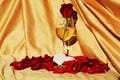 Symbolic lost love Royalty Free Stock Photo