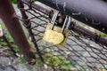 Symbolic love padlocks. padlocks on the bridge. Valentine