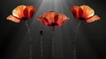 Symbolic red poppies remembrance, armistice, anzac day tribute and symbolism on dark backdrop