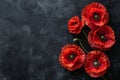 Symbolic red poppies stylized flowers on black background for remembrance day and anzac day