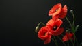 Symbolic red poppies tribute to remembrance day and anzac day on black background