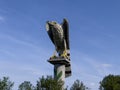 The symbolic statue of the hawk bird, which is valued in the Black Sea region