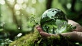 Guardians of Green: A Glass Globe& x27;s Pact with Environmental Protection