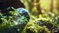 Guardians of Green: A Glass Globe's Pact with Environmental Protection