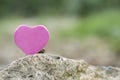 Symbolizes the love of two hearts Royalty Free Stock Photo