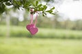 Symbolizes the love of two hearts Royalty Free Stock Photo