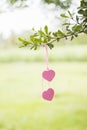 Symbolizes the love of two hearts Royalty Free Stock Photo