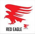 eagle, red eagle.