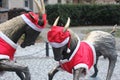 The symbols of the city of Poznan with the Xmas decorations Royalty Free Stock Photo