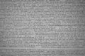 Lines of code in black and white