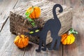 Symbols of Halloween: a black cat and a pumpkin made of paper