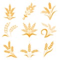 Symbols. for logo design Wheat. Agriculture, corn, barley, stalks, organic plants, bread, food, natural harvest, illustrati Royalty Free Stock Photo