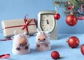 Symbols of the New year 2021-two bulls - on the background of a clock and a gift with a red ribbon, Christmas balls, side view-the Royalty Free Stock Photo