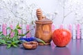 Symbols of rosh hashanah, apple and honey