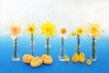 Symbols of Spring and Easter Composition Royalty Free Stock Photo