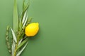 Sukkot festival symbols on color background