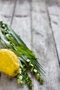 Symbols of Sukkot