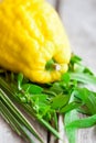 Symbols of Sukkot