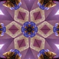 Symetrical Spade of Illustration abstract kaleidoscope art wallpaper design and background