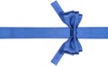 Symmetric blue bow with square cut ends on ribbon