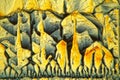 Symmetric grown crystals of Potassium ferricyanide under the microscope