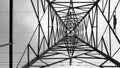 Symmetrical and abstract lines of electricity pole bottom-up perspective in black and white. Royalty Free Stock Photo