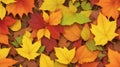 A symmetrical arrangement of colorful autumn leaves forming a seamless pattern