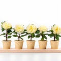 Symmetrical Arrangement Of Six White Flowers In Toy-like Proportions