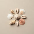 Symmetrical arrangement of various seashells on a light sandy Royalty Free Stock Photo