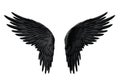 symmetrical black open angel wings isolated on transparent background