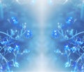 Symmetrical Blue Lobelia flowers. Abstract Flowers as a background. Ourdoor. Summer time. Web banner