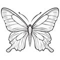 Symmetrical butterfly line art drawing for a coloring book page Royalty Free Stock Photo