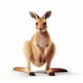 Symmetrical Caricature-like Kangaroo: 3d Rendering By Maia Flore