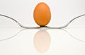 Symmetrical composition of two forks and an egg Royalty Free Stock Photo