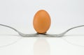 Symmetrical composition of two forks and an egg Royalty Free Stock Photo