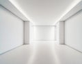 Symmetrical empty room hall in modern building interior with white walls and ceiling